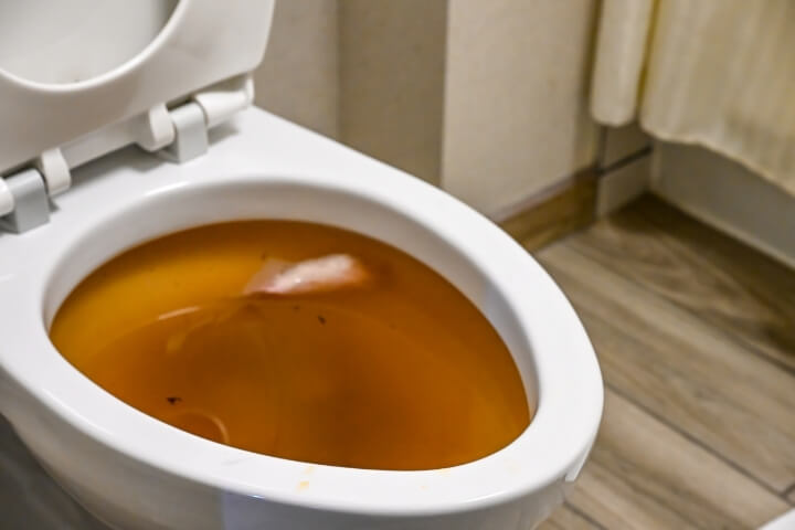 blocked toilet